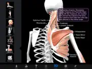 muscle & bone anatomy 3d ipad images 1