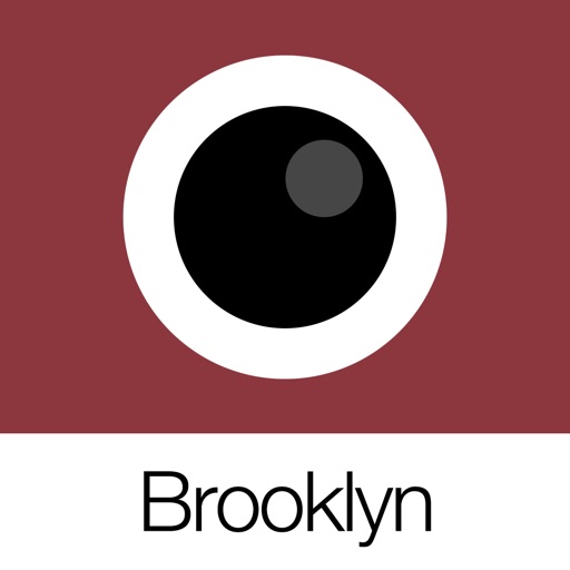 Analog Brooklyn app reviews download