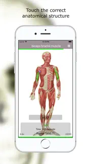 quiz d'anatomie prime iPhone Captures Décran 2