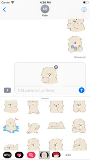 cute polar bear iphone images 1