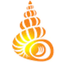 shell museum: identify shells logo, reviews