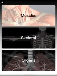 anatomy quiz pro ipad images 1