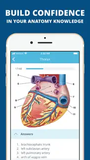 usmle clinical anatomy quiz iphone images 4