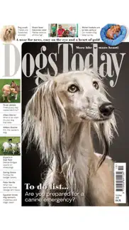 dogs today magazine iphone resimleri 1