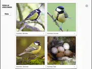 vogels in nederland pro iPad Captures Décran 2