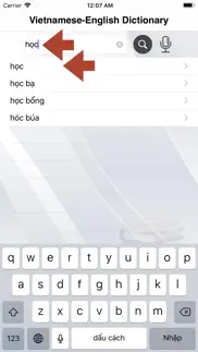 vietnamese-english dictionary. iphone images 1