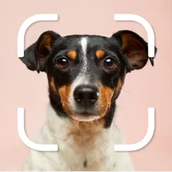 dog selfie camera editor logo, reviews