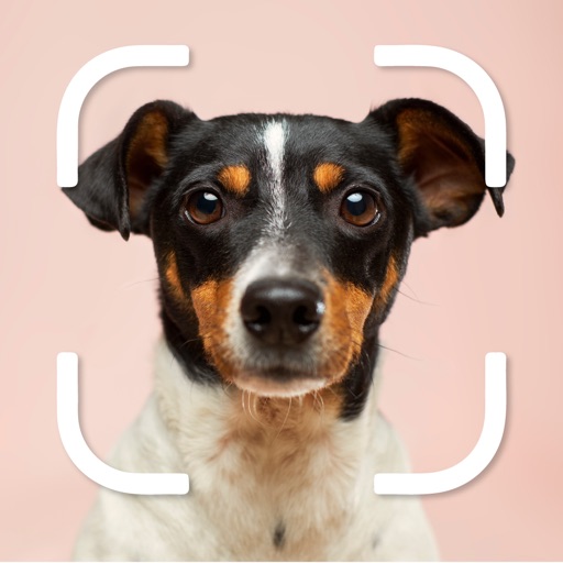Dog Selfie Camera Editor app reviews download