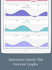high tide - charts and graphs айпад изображения 3