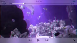 aquarium videos 3d iphone resimleri 4