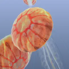 jellyfish chrysaora logo, reviews