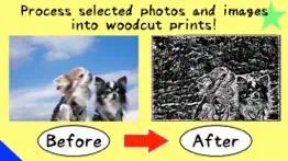 change photo/image to woodcut! iphone images 1