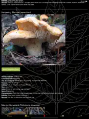 oregon sw mushroom forager map ipad images 4