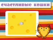 happycats игра для кошек айпад изображения 1