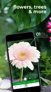 plantsnap pro: identify plants iphone images 3