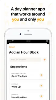 hour blocks: day planner iphone images 2