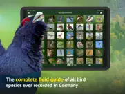 all birds germany ipad images 2