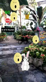 ar easter egg and bunny hunt iphone images 1