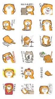 白爛貓5 - 超浮誇 iphone images 1