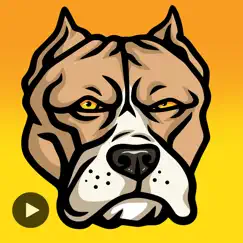 bull dogs animated logo, reviews