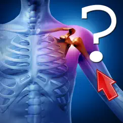 anatomy shoulder quiz logo, reviews