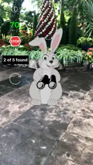 ar easter egg and bunny hunt iphone images 3