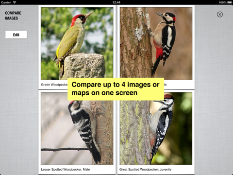 pocket bird guide, netherlands ipad images 3