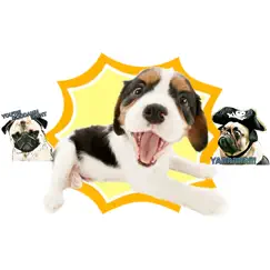 stickers of crazy dogs logo, reviews