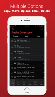voice recorder plus pro iPhone Captures Décran 3