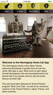 hemingway cats iphone images 1