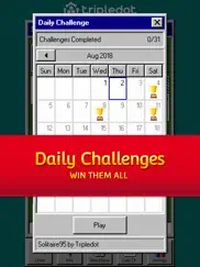 solitaire 95: the classic game ipad images 2