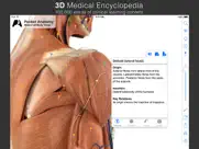 pocket anatomy ipad images 3