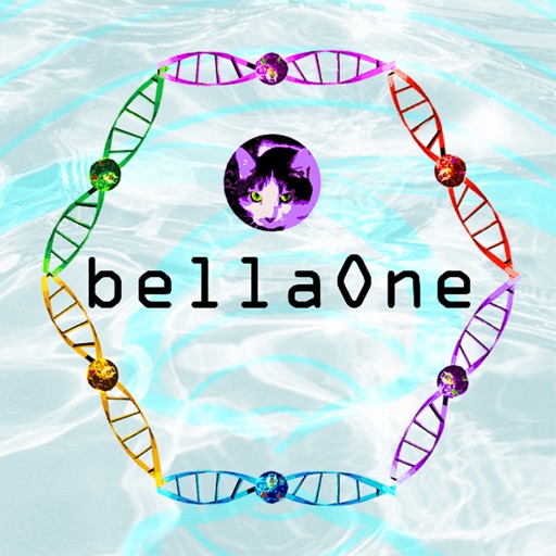 bellaOne Premium app reviews download