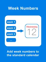 week numbers - calendar weeks айпад изображения 1