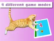 happycatspro kediler için oyun ipad resimleri 3