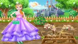 royal princess castle care iphone images 2
