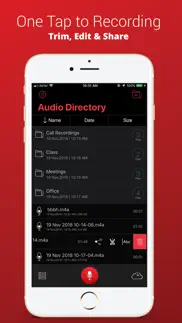 voice recorder plus pro iPhone Captures Décran 2