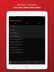 voice recorder plus pro iPad Captures Décran 3