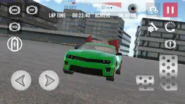 simulation pilote course auto iPhone Captures Décran 3