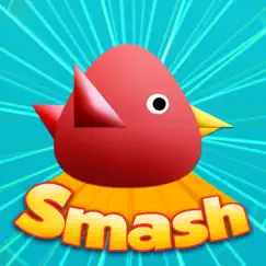 cool birds game - fun smash logo, reviews