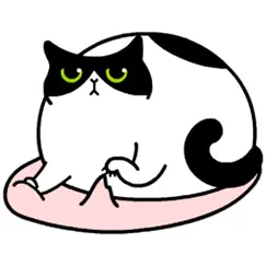 wuli cat logo, reviews