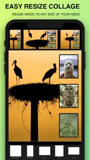 photo collage maker : pic grid iphone images 4