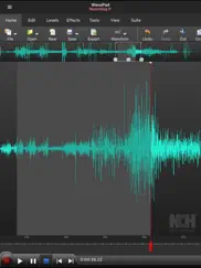 wavepad music and audio editor iPad Captures Décran 2