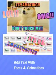 gif meme maker text on giphy ipad images 4