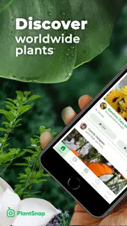 plantsnap pro: identify plants iphone images 1
