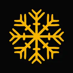 snowflake puzzle logo, reviews