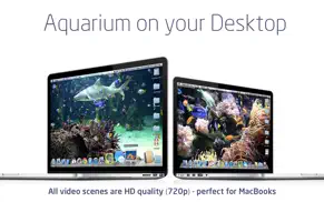 desktop aquarium wallpapers iphone images 1