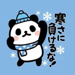 bunanna panda8 /winter logo, reviews