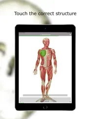anatomy quiz lite iPad Captures Décran 3