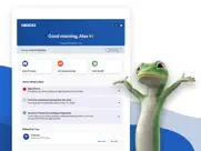 geico mobile - car insurance ipad images 2